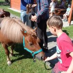 phoca_thumb_m_ponk 26 Fotogalerie